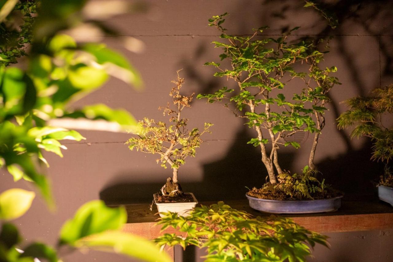 Il Giardino Segreto Appartement Carbognano Buitenkant foto