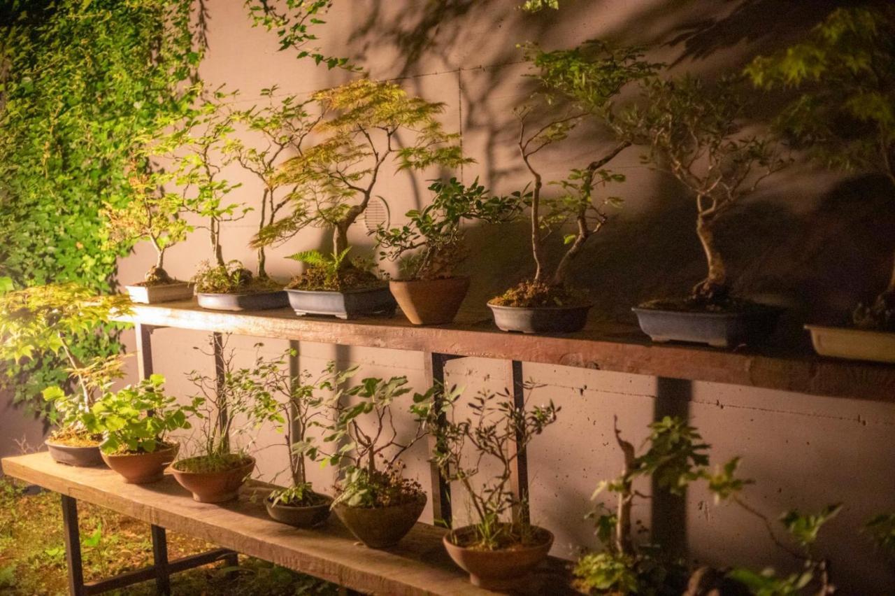 Il Giardino Segreto Appartement Carbognano Buitenkant foto