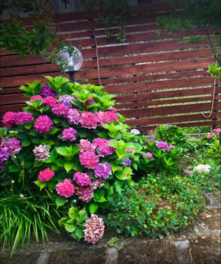 Il Giardino Segreto Appartement Carbognano Buitenkant foto